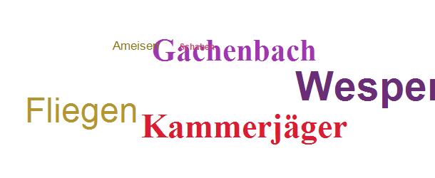 Kammerjäger Gachenbach