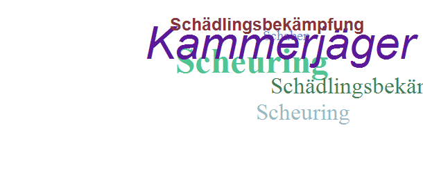 Kammerjäger Scheuring